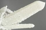Tall Milky Candle Quartz Crystal Cluster - Inner Mongolia #226038-3